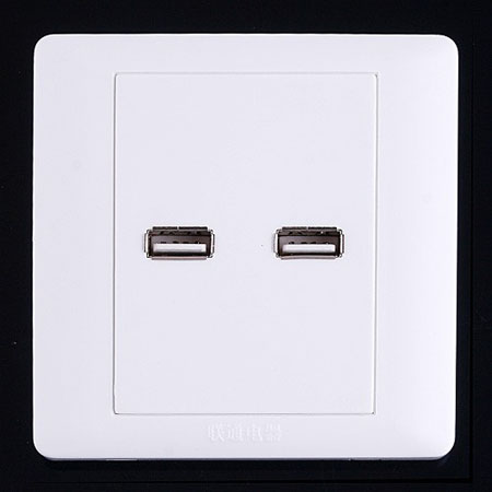 2 x USB Ports Wall Plate Coupler Outlet Socket Panel