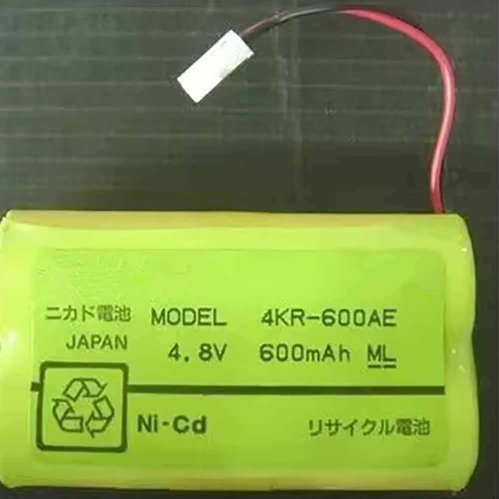 C 600mAh 4.8V batterie