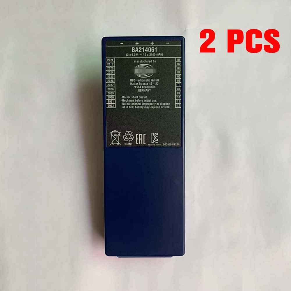 B 2100mAh*2 6V*2 batterie