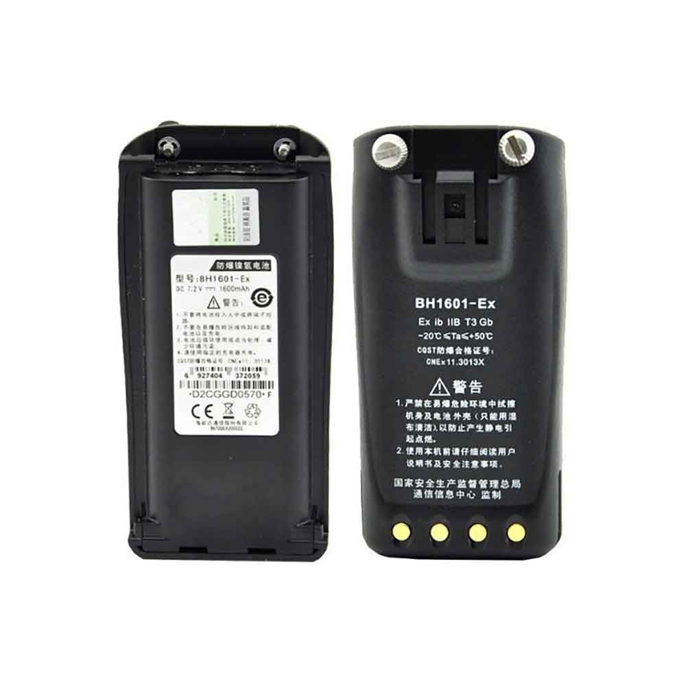 or 1600mAh 7.2V batterie