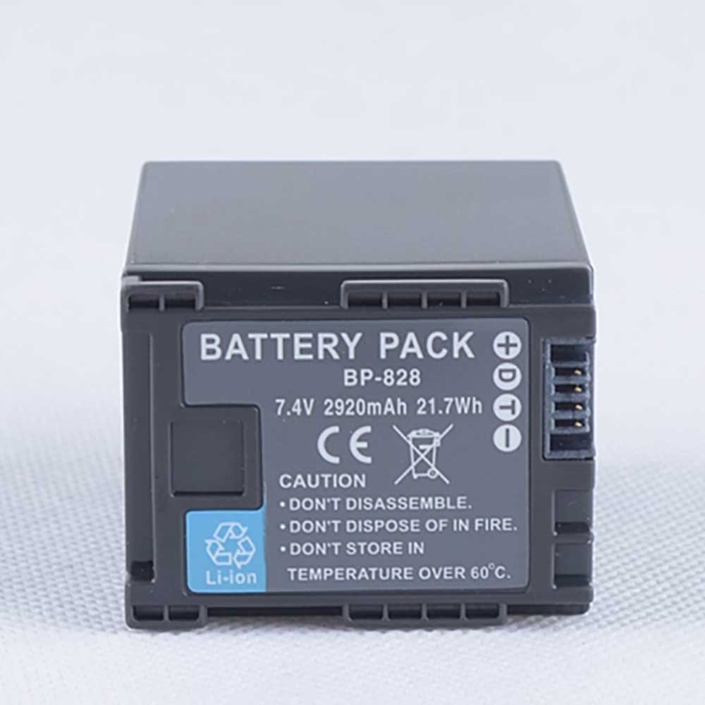for 2920mAh 7.4V batterie