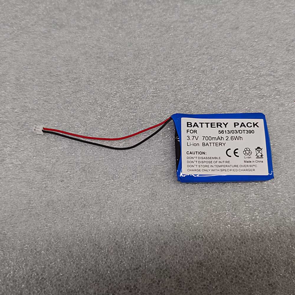 5613/03/DT390 Batterie ordinateur portable