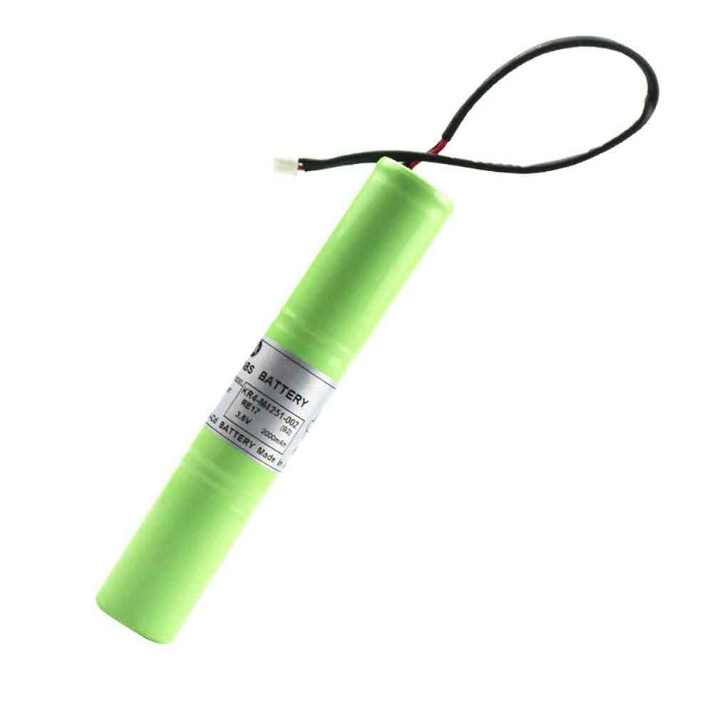 2 2000mAh 3.6V batterie